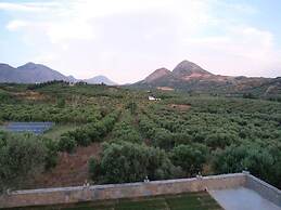 Terra Divina Damnoni