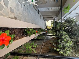 Our Newly Renovated Apartment in Limenaria, Only Five Minutes Away Fro