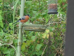 Parkland 14 is a Detached Premier 3 Bedroom Bungalow Sleeping 6