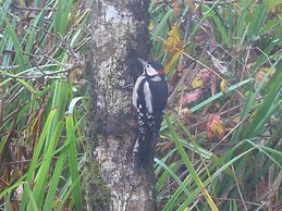 Parkland 14 is a Detached Premier 3 Bedroom Bungalow Sleeping 6