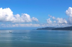 Beautiful House With Panoramic View of the bay and Gardens