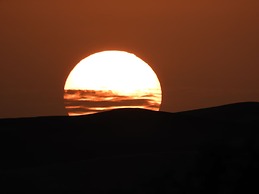 Room in Lodge - Sleep In Luxury Tent In Desert !