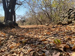 Villas Amatlán. Eco Village Retired From People