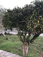 Room-studio Banos Apartments and Swimmin