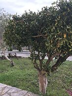 Room-studio Banos Apartments and Swimmin