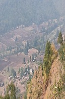 Moustache Kamp Kalakund