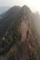 Moustache Kamp Kalakund