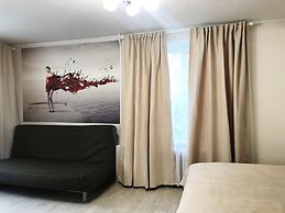 Apartment Hanaka Shumilova 20