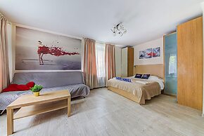 Apartment Hanaka Shumilova 20