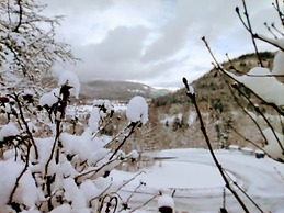 A L'orée du Bois