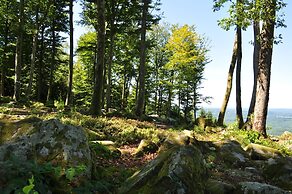 A L'orée du Bois