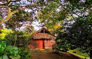 Tropical Biohostel by Rotamundos