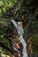 Tropical Biohostel by Rotamundos