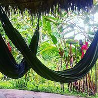 Tropical Biohostel by Rotamundos