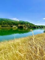 Entre Ried et Rhin