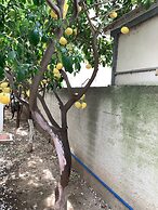 Kallipatira Apartments