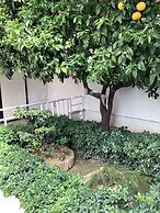 Kallipatira Apartments