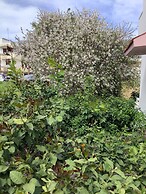 Kallipatira Apartments