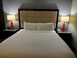 Wingate Houston near NRG Park/Medical Center