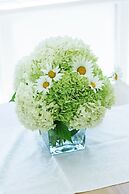 Apartments Nostro Palazzo