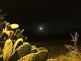 Il Pieddo