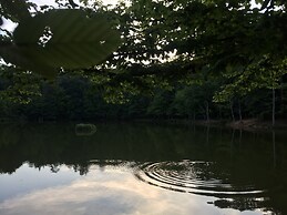 Il Pieddo