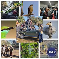 UbEx Home Rishikesh - Hostel