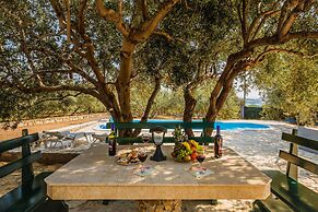 Luxury Private Villa Complex With Pool and Jacuzzi