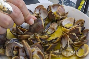 B41 - Windmill Modern With Pool