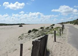 Apartment in Den Haag With sea Beach