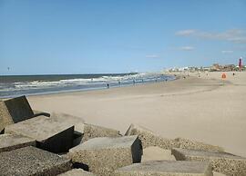 Ground Floor Apartment near Scheveningen