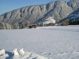 Inviting Apartment in Auffach Wildschönau near Ski Area