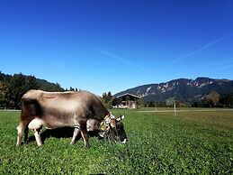 Inviting Apartment in Auffach Wildschönau near Ski Area