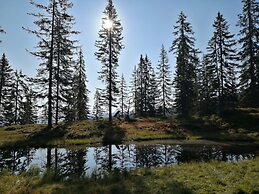Inviting Apartment in Auffach Wildschönau near Ski Area