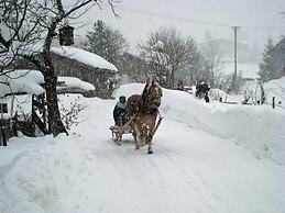 Inviting Apartment in Auffach Wildschönau near Ski Area