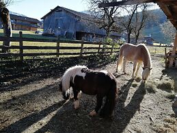 Inviting Apartment in Auffach Wildschönau near Ski Area