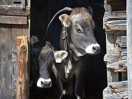 Inviting Apartment in Auffach Wildschönau near Ski Area
