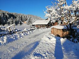 Inviting Apartment in Auffach Wildschönau near Ski Area