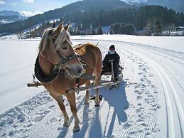 Inviting Apartment in Auffach Wildschönau near Ski Area