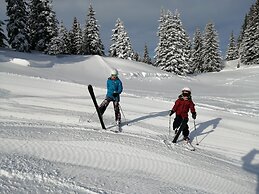 Inviting Apartment in Auffach Wildschönau near Ski Area