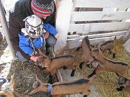 Inviting Apartment in Auffach Wildschönau near Ski Area