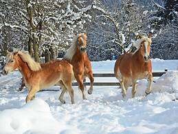 Inviting Apartment in Auffach Wildschönau near Ski Area