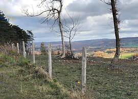 Villa with Sauna near Golf Course