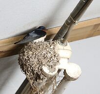 Cozy Vacation Home With Terrace