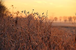 Cozy Vacation Home With Terrace