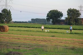 Cozy Vacation Home With Terrace