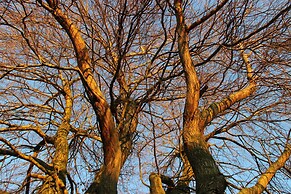 Cozy Vacation Home With Terrace