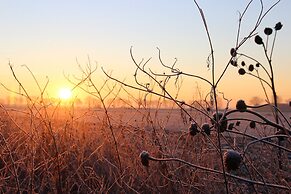 Cozy Vacation Home With Terrace