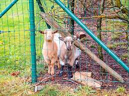 Villa in Sart Jalhay With Swimming Pool