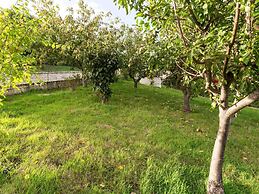 Elegant Apartment in Campobasso near Woods